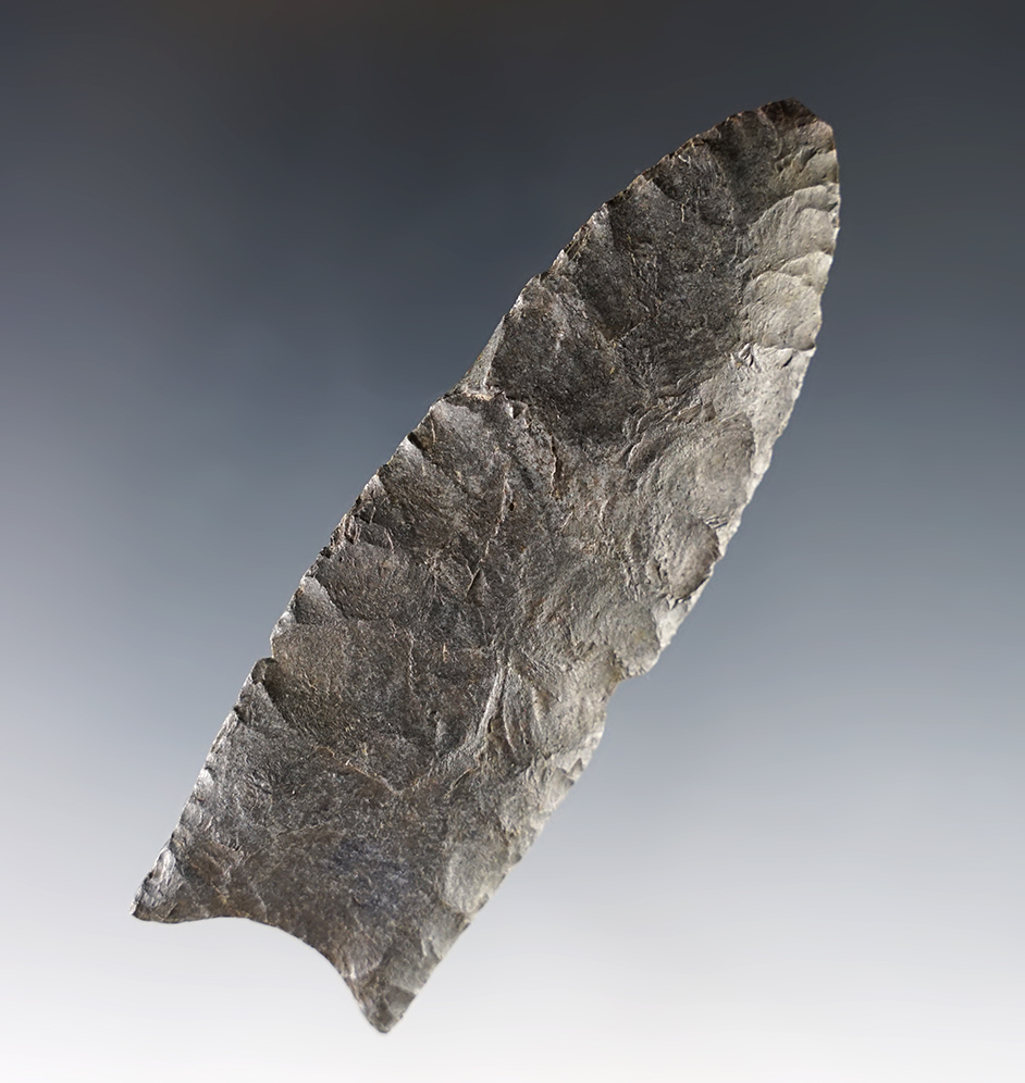 Classic 3 1/4" Fluted Paleo Clovis that is well patinated. Found in the Midwestern U.S.