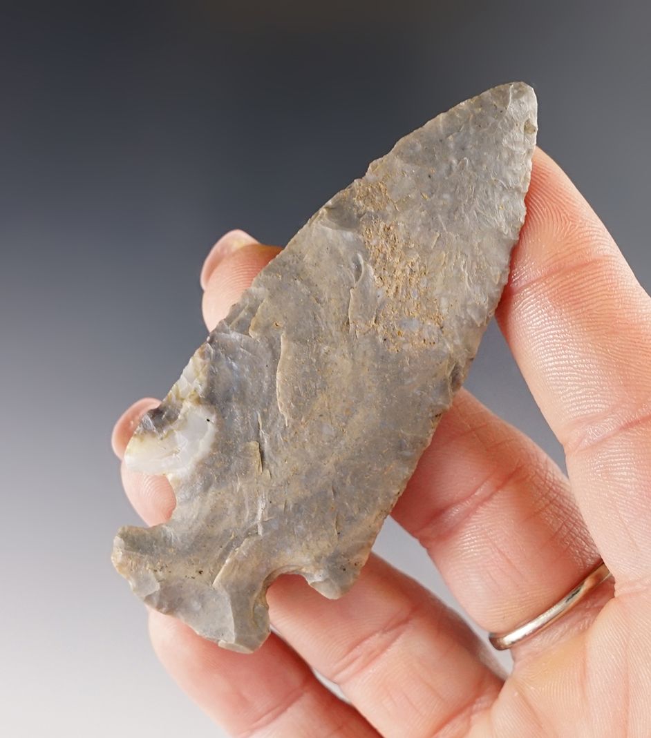 2 15/16" Motley made from Hornstone, found in Ohio. Comes with a Davis G-9 COA. 