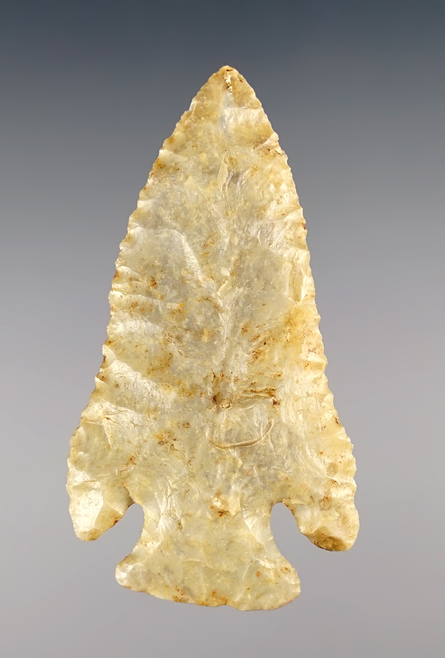 Exceptionally well flaked 2 1/2" Archaic point with nice basal grinding and fine edge work. Ex. Wehrle.