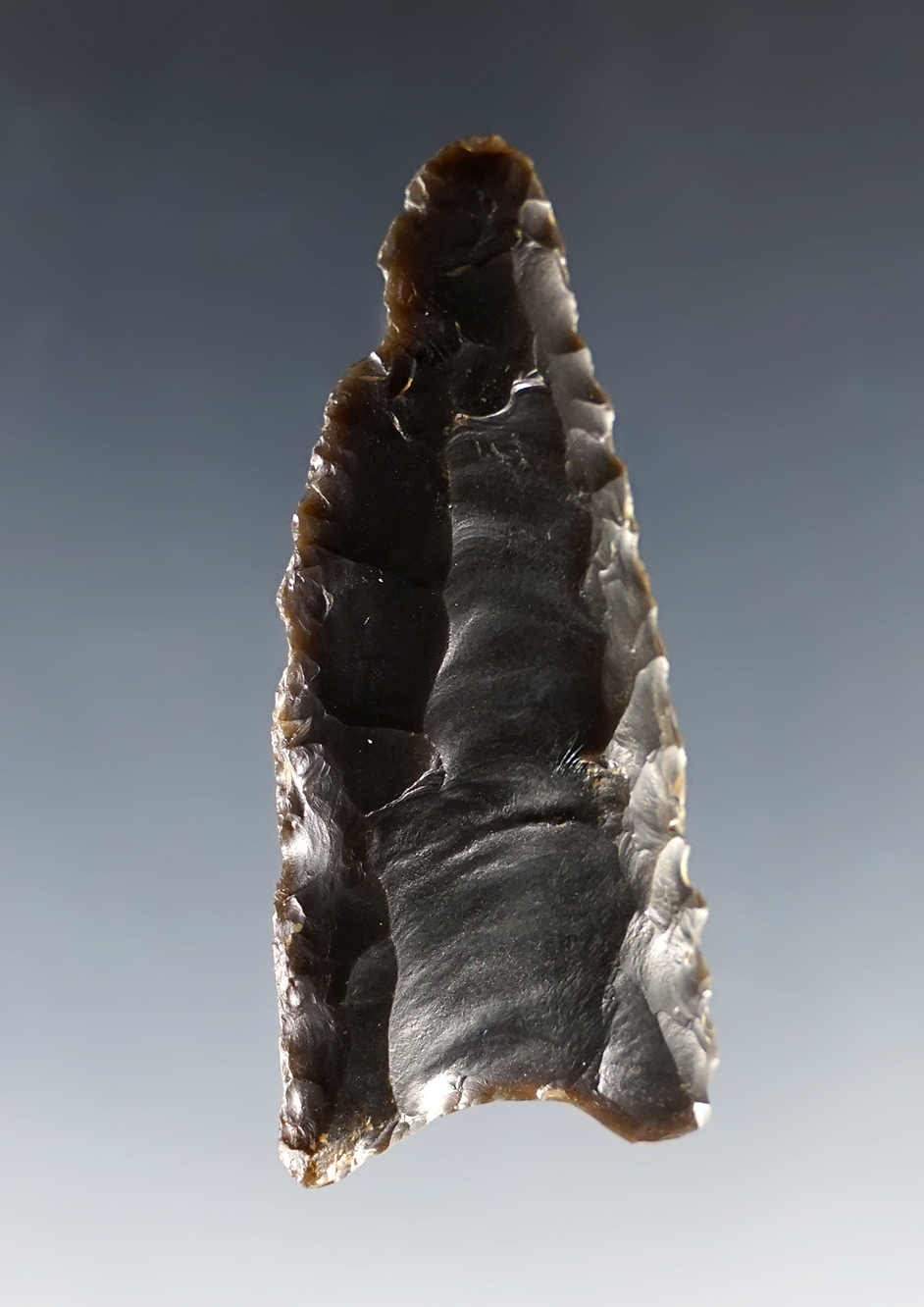 Nice 2 1/16" Paleo Fluted Clovis. Found in the Midwestern U.S.