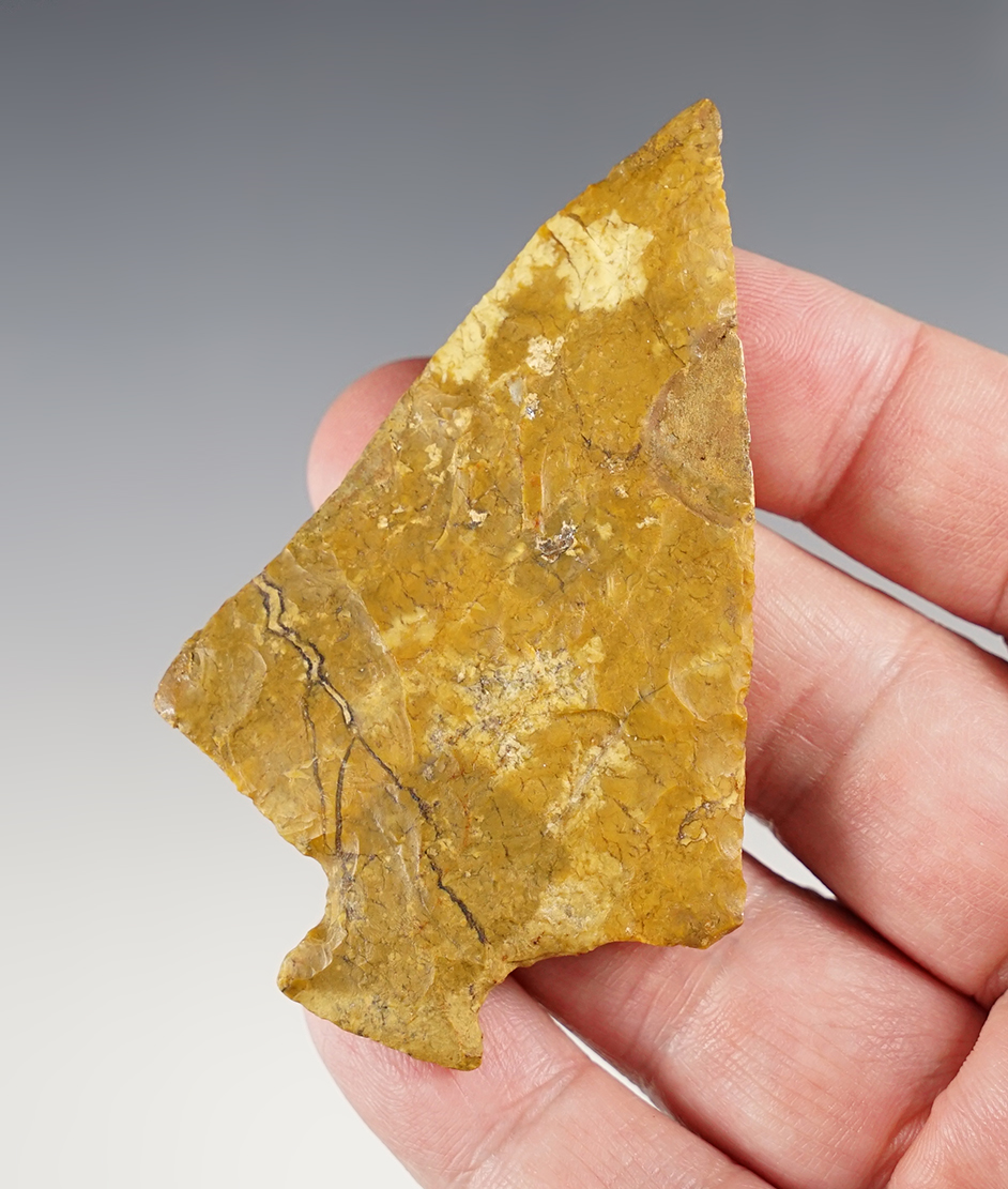 3 1/8" Perkiomen made from beautifully colored Jasper. 4 small spots of restoration.