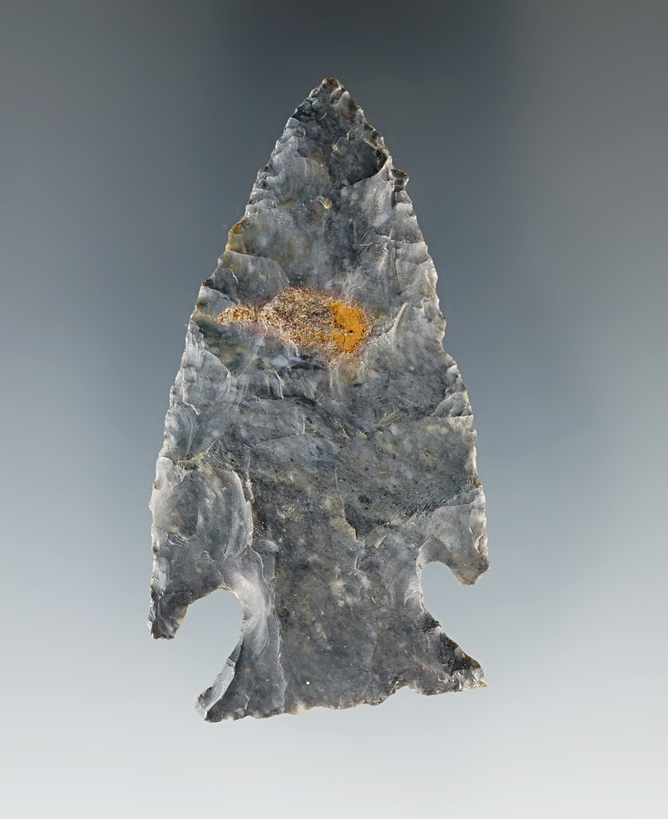 2 5/8" Intrusive Mound made from black Coshocton Flint. Found in Richland Co., Ohio. Ex. Jack Hooks.