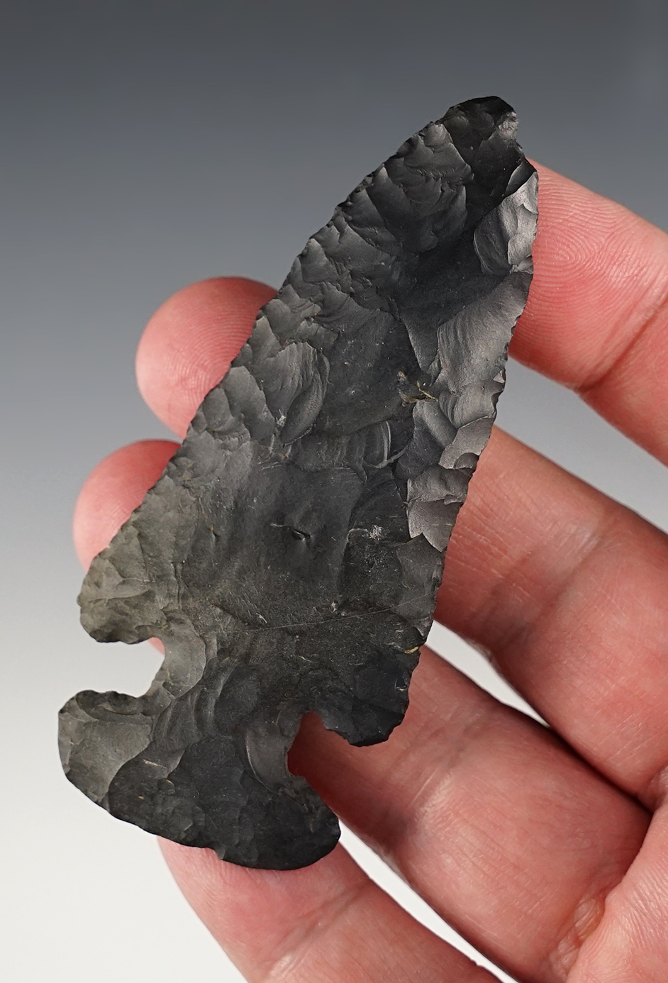 Classic style 3 5/16" Archaic Thebes E-notch in very nice condition. Found in Ohio.