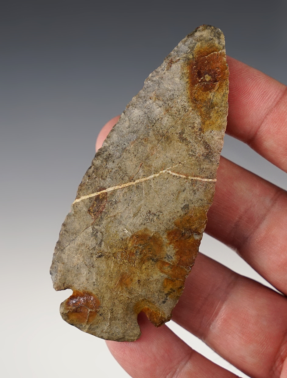 Very heavily patinated 3 7/16" Dovetail found in the Midwestern U.S. Thin and nice example.