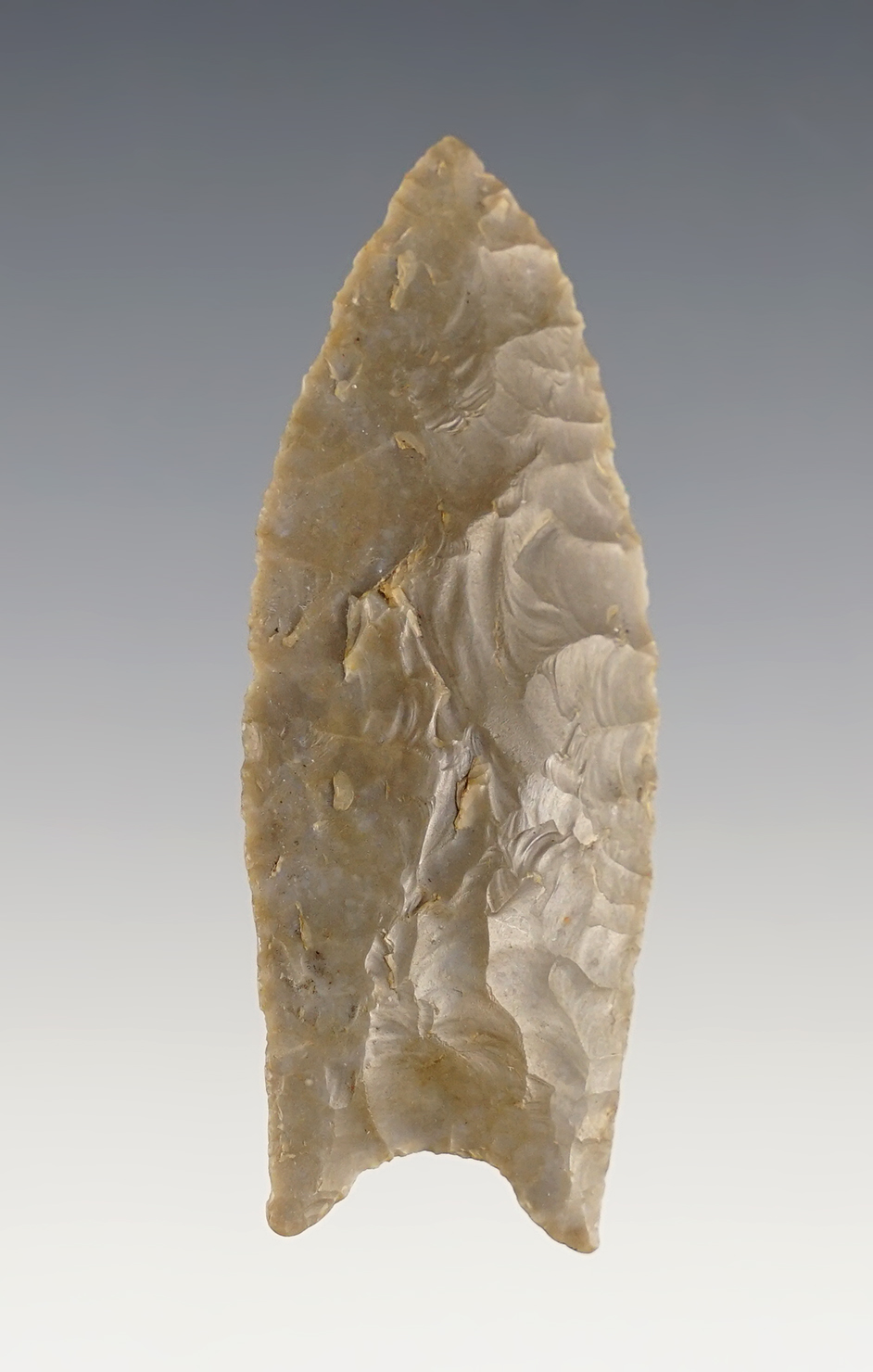 Exceptional 2 1/2" Paleo Clovis with excellent grinding to the basal area. Midwestern U.S.