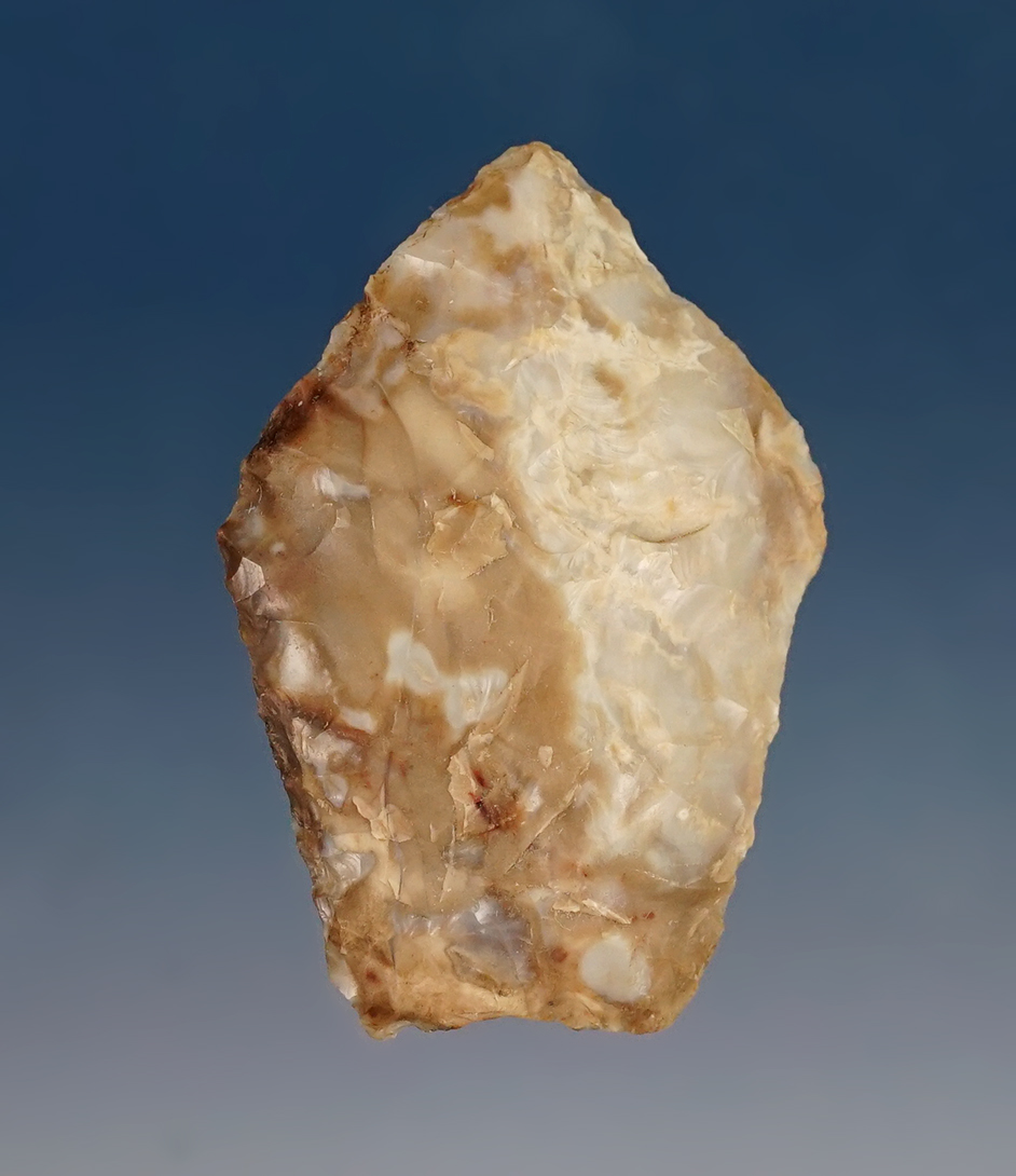 Large for type! 1 9/16" fluted Paleo Spedis found near the mid-Columbia River in the 1950s.