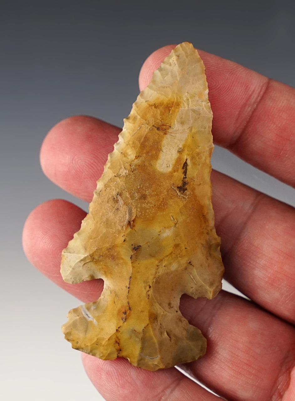 Deeply patinated 2 15/16" Archaic Thebes found in Paulding Co., Ohio.