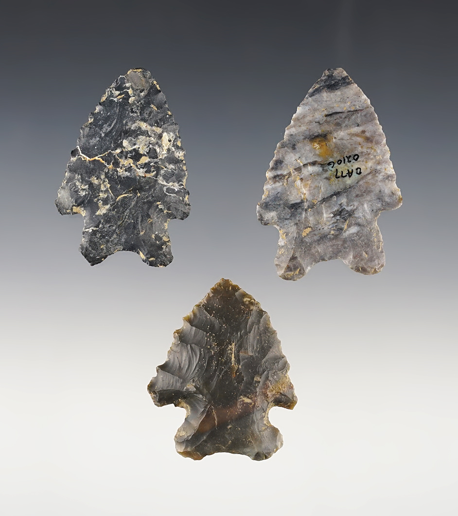 Set of 3 classic Ohio Bifurcated MacCorkle points. The largest is 2 5/16"