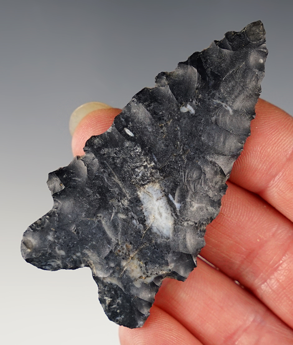 2 3/4" Coshocton Flint Bifurcate found in Henry Co., Ohio. 