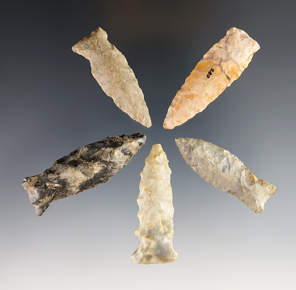 Group of 5 Fishspear Points made from various flint types. Largest is 2". 4 are Ex. Mel Wilkins. 