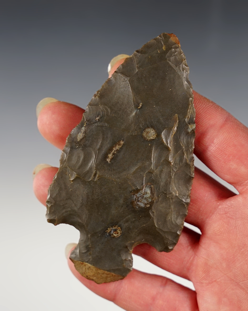 Pictured! 3 11/16" Hopewell - Nicely patinated Hornstone. Found in Preble Co., Ohio. COA. 