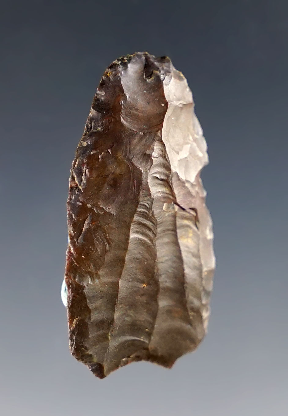 Rare! 1 3/8" Paleo Crowfield with four flute channels on one side! Stark / Summit County  Ohio. 