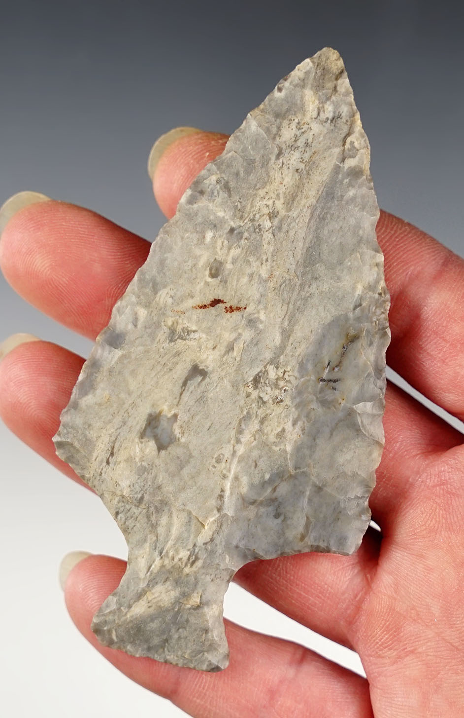 3 11/16" Ashtabula - Coshocton Flint with nice mineral deposits. Found in Stark Co., Ohio. 