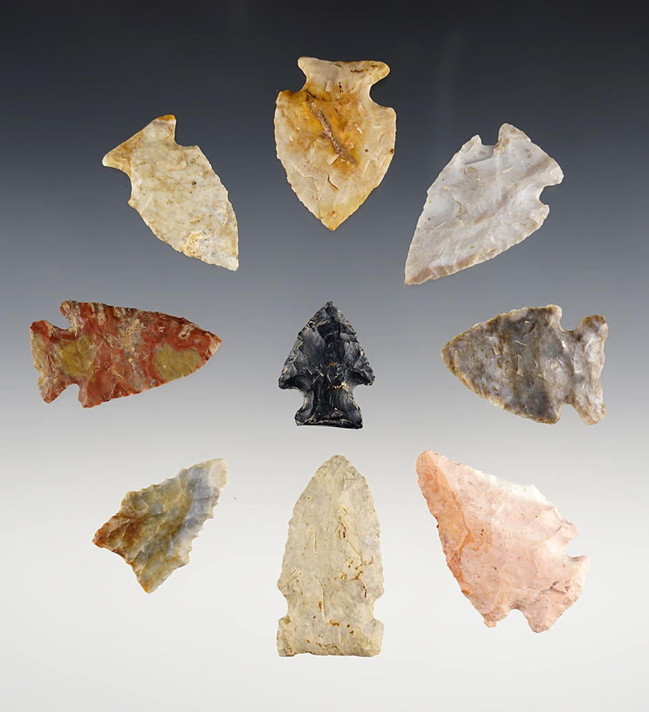 Set of nine assorted field found points recovered by Larry Morris. Largest is 1 7/8.