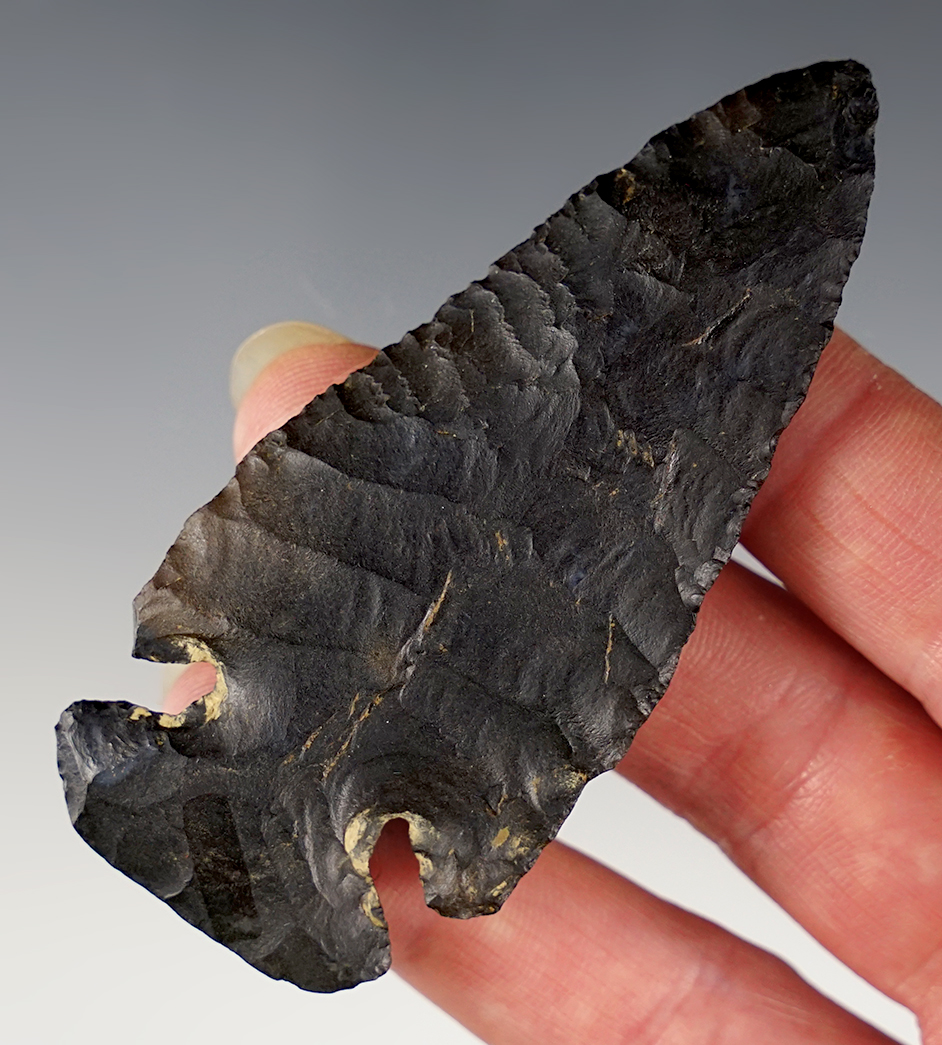 3 1/4" Archaic Bevel made from well patinated Coshocton Flint. Found in Defiance Co., Ohio. 