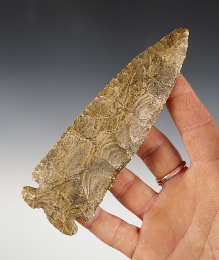 5" heavily patinated Carter Cave Flint Wide Base Dovetail with an old nick at base. Southern Ohio