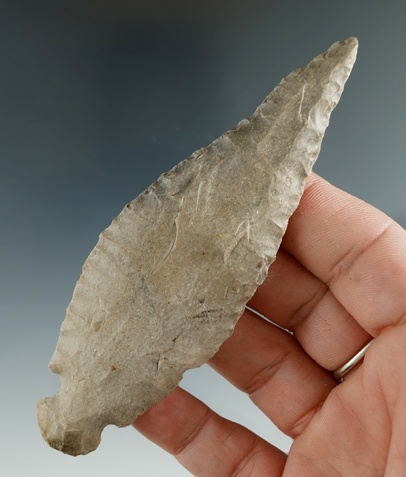 4 1/4" Turkeytail found in Indiana.