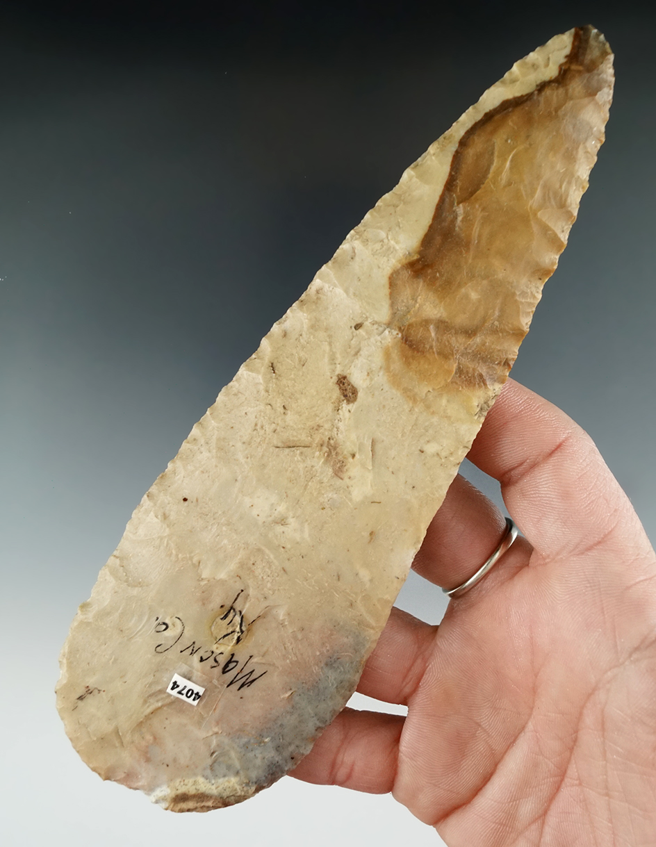 6 1/2" Beautifully colored Blade found in Mason Co., Kentucky.  Ex. R.J. Haystreet, Jim Beckman.