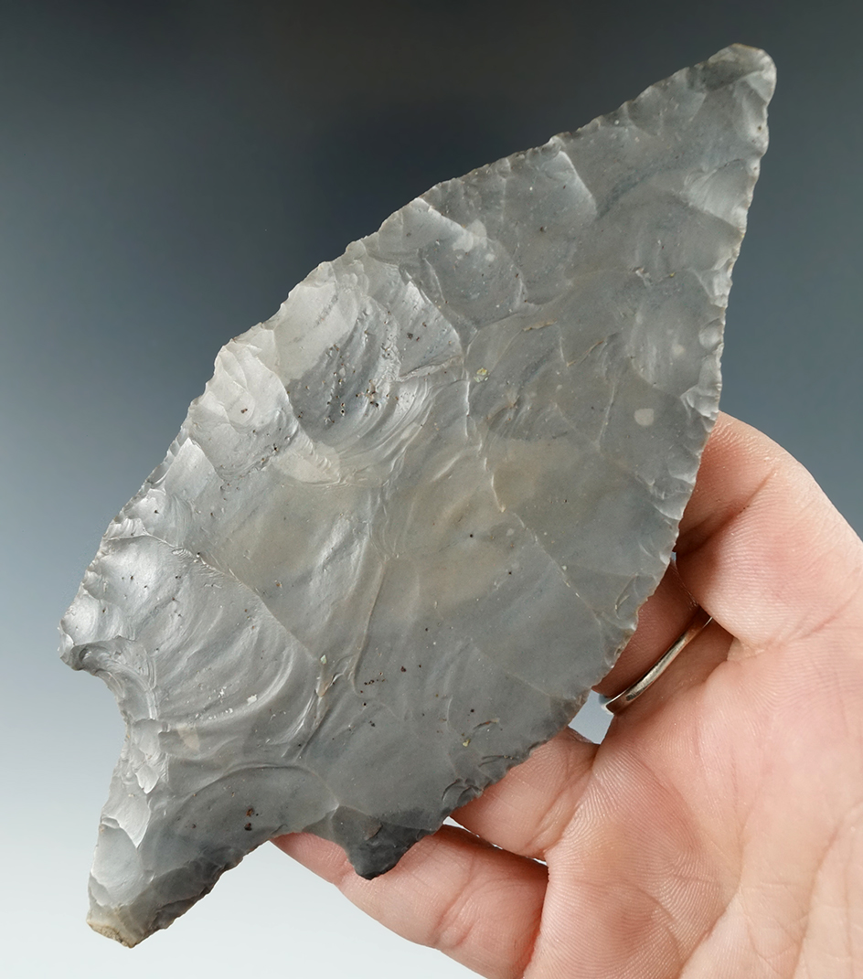 5 7/16" Hebron Turkeytail found in Southern Indiana. Dickey COA.