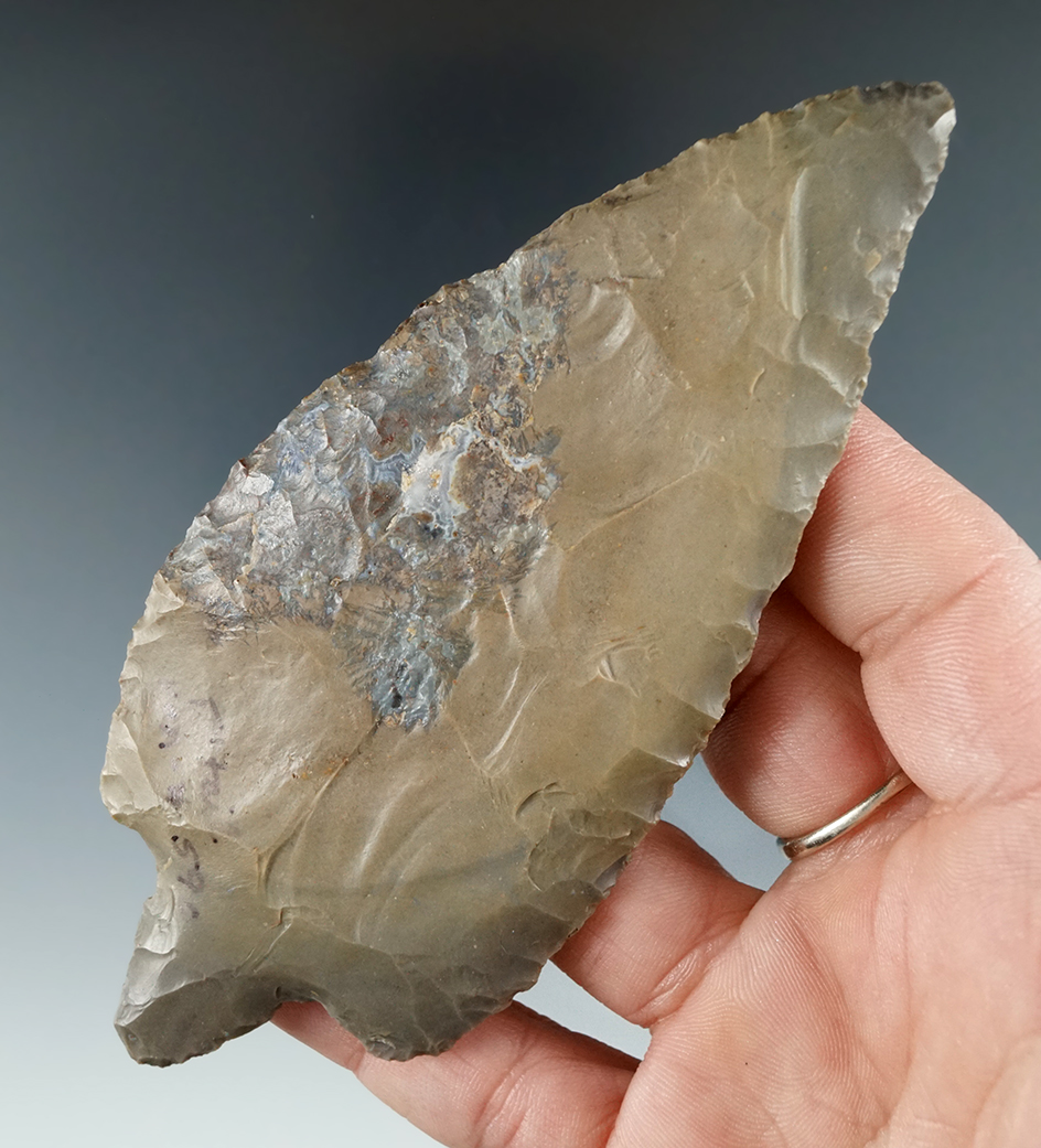 4 11/16" Turkeytail made from Hornstone, found in Indiana. Comes with a Dickey COA.