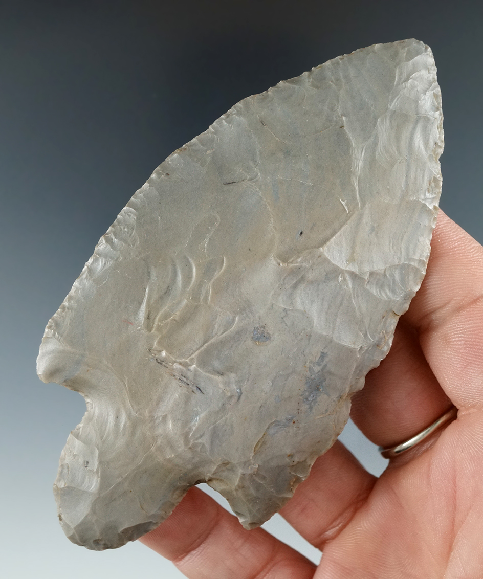 4 1/16" Hebron Turkeytail found by T. Metz in Meade Co., Kentucky. Ex. Bob Bright.