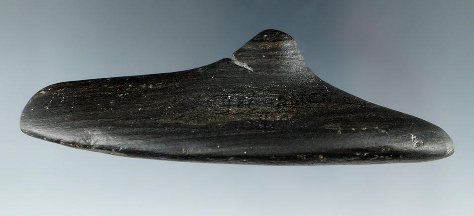 4 1/2" Undrilled Spineback Gorget that was spotted but not drilled. Found in Allen Co., Ohio.