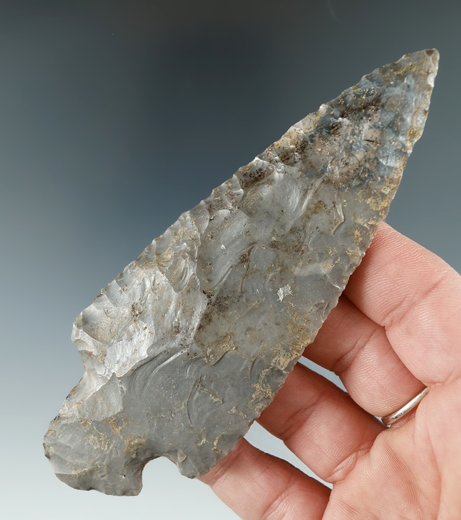 4 3/4" Turkeytail found near Attica in Warren Co., Indiana. Ex. Dr. Albert Welberry. COA.