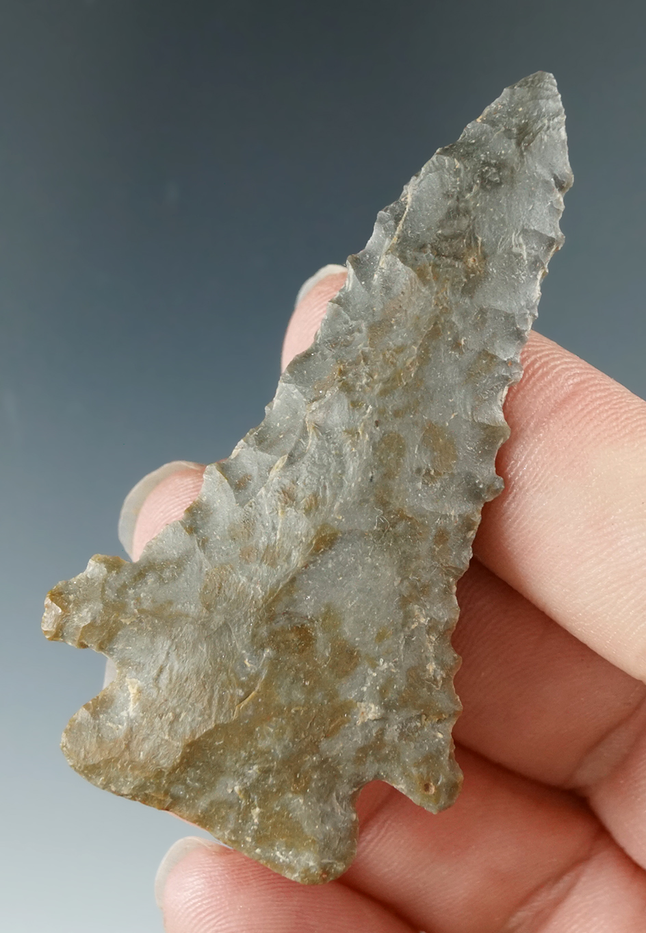 2 3/8" Pinetree found by Dave Lutz in Spencer Co., Indiana.