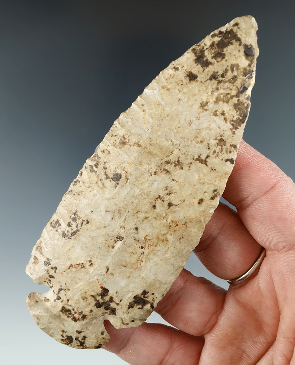 4 1/2" Dovetail found in Southern Illinois. Ex. Steven Lee Collection.