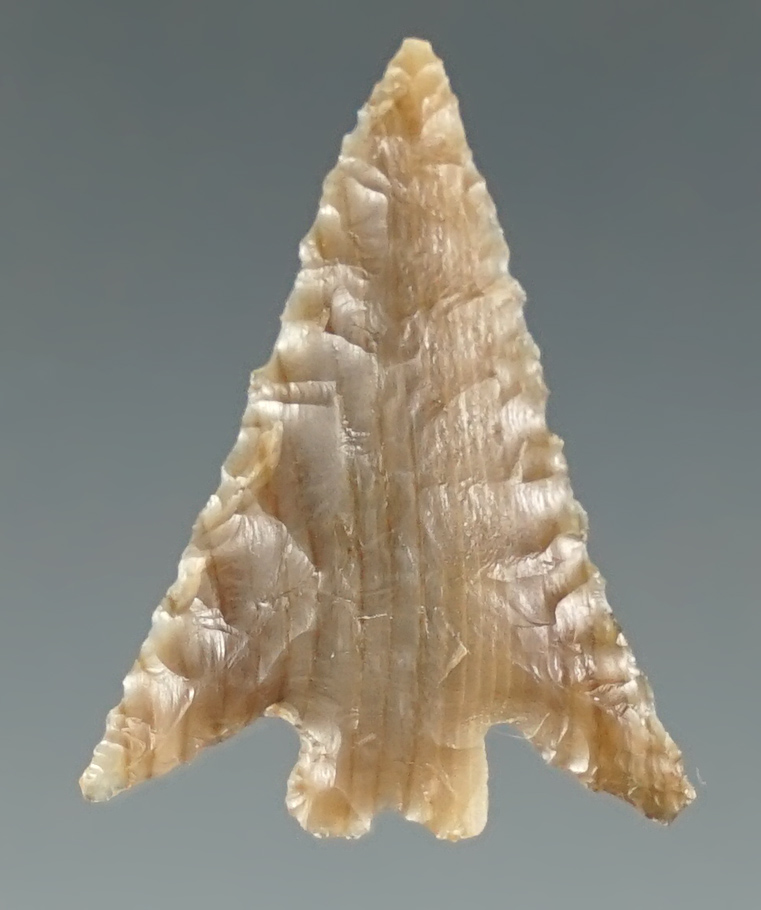 1" Columbia Plateau made from petrified wood. Found near the Columbia River, Oregon.