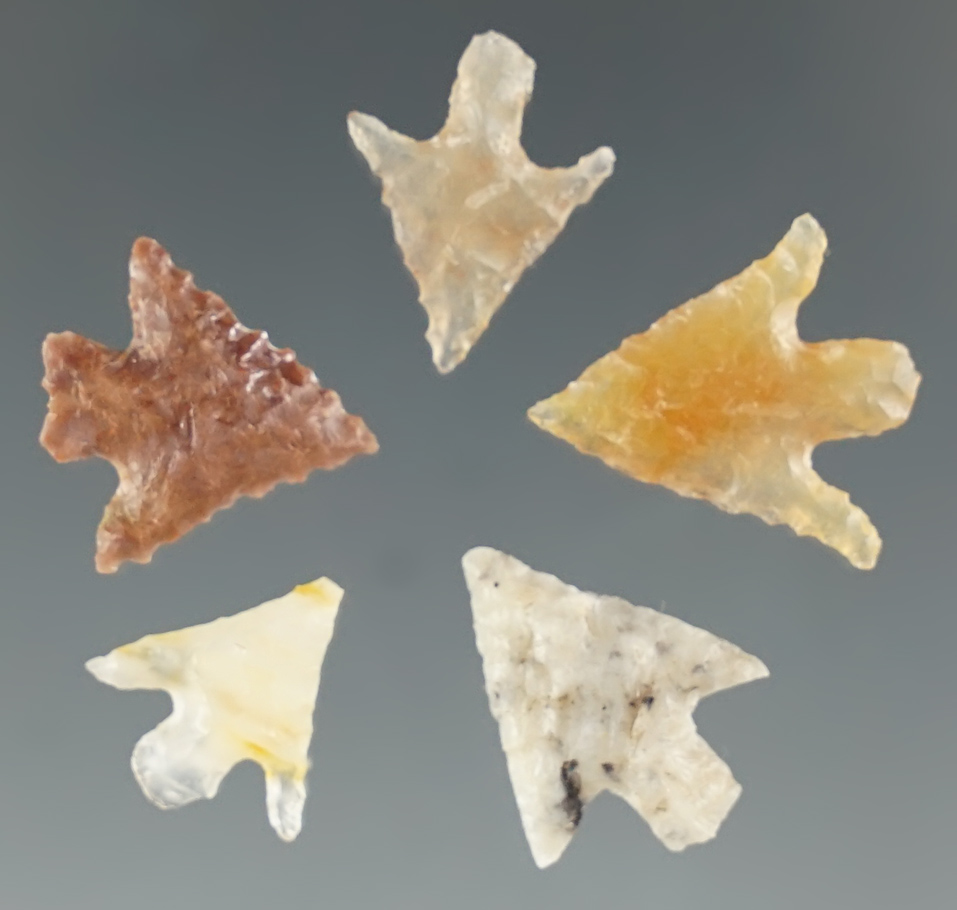 Set of 5 Micro Columbia River Points. Longest is 1/2".