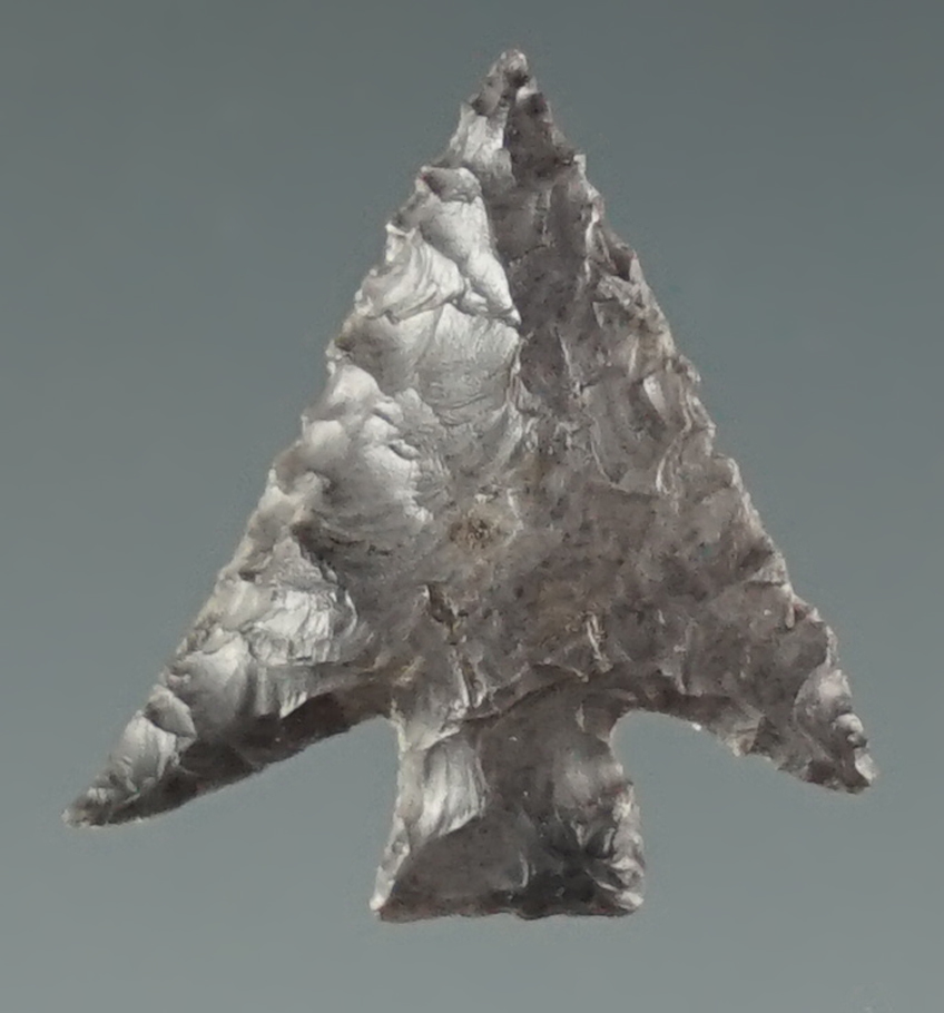 5/8" Columbia Plateau made from dark gray Jasper. Found near the Columbia River, Oregon.