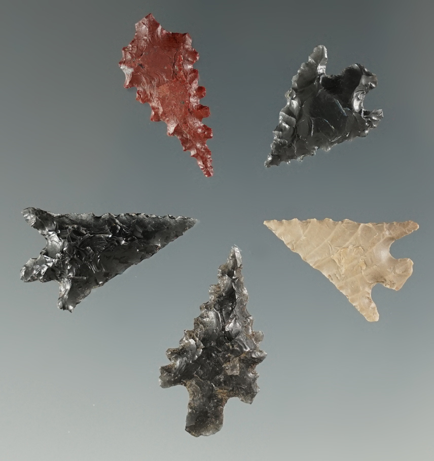 Set of 5 Calapooya Points found at Fern Ridge, near Eugene, Oregon. Longest is 1".