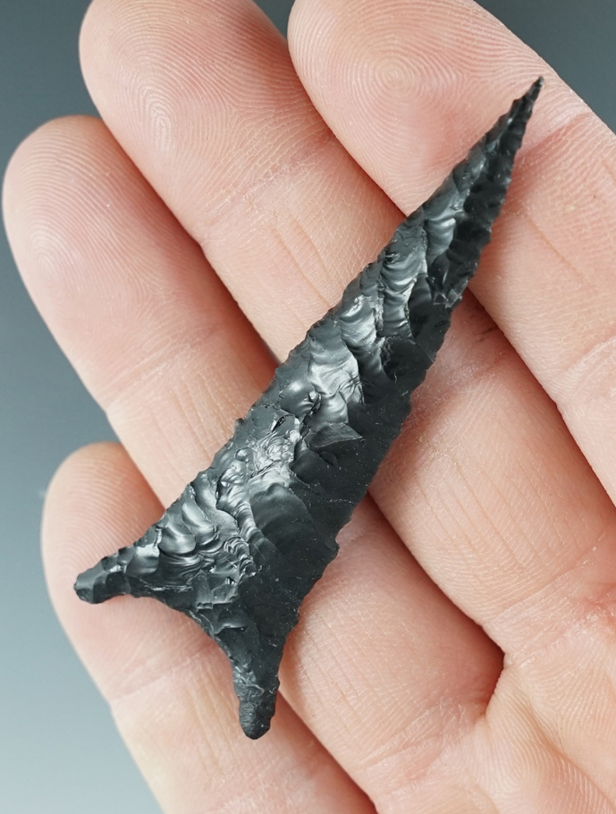 2 1/2" Buchanan Eared made from Obsidian- Great Basin, Oregon. Pictured. 1/16" restoration to ear.