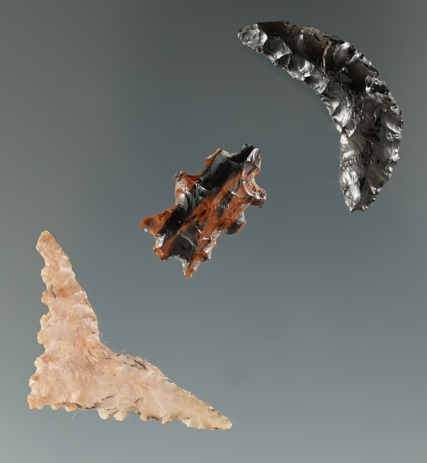 Set of 3 Calapooya exotic pieces found at Fern Ridge, near Eugene, Oregon. Longest is 1 1/4".