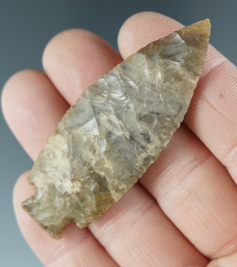 2 5/8" Cornernotch made from multi-colored gray Agate. Found near the Columbia River, Oregon.