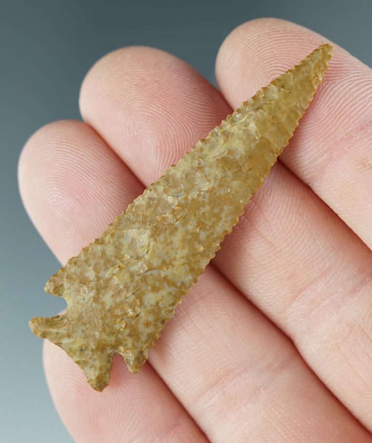 2 1/4" Snake River Dart made from yellow Jasper. Found near the Columbia River, Oregon.