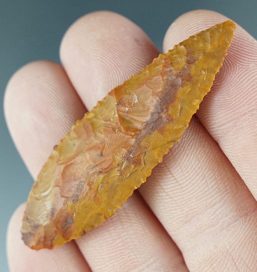 2 1/4" Cascade leaf made from yellow Jasper. Fine serrations. Found near the Columbia River, Oregon.