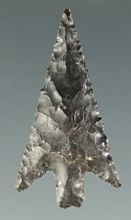 1 1/8" Columbia Plateau made from black Jasper. Found near the Columbia River, Oregon.