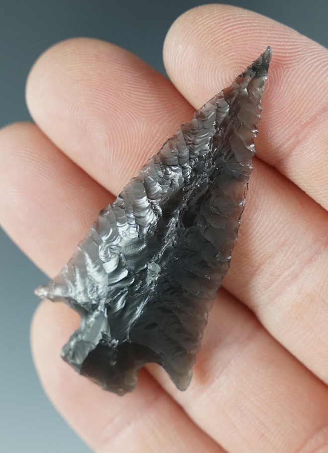 2 1/4" Elko Ear made from translucent gray Obsidian. Found in the Great Basin, Oregon.