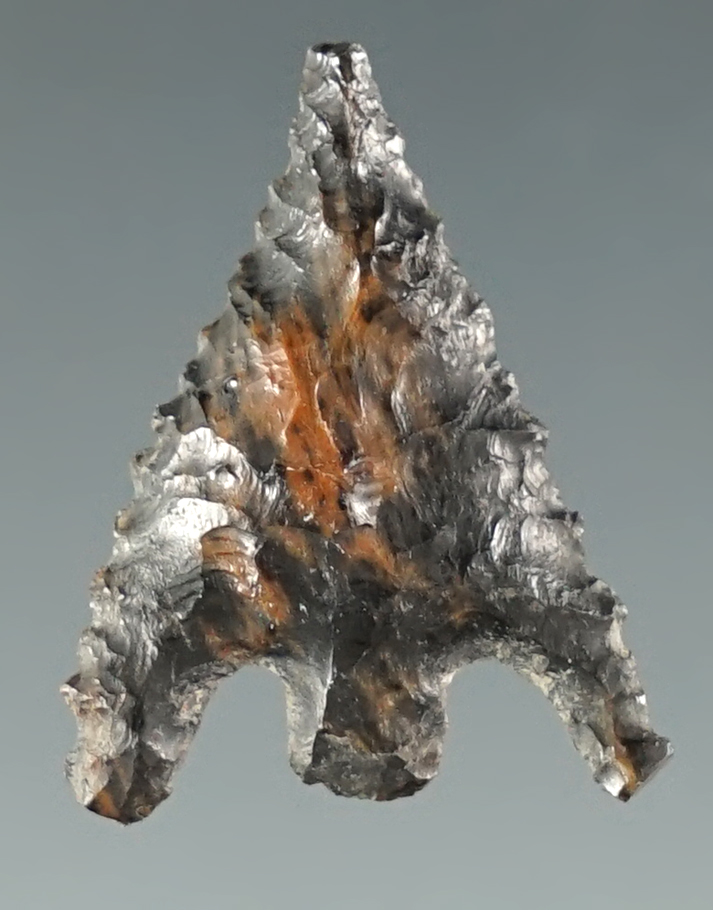 1" Gunther Barbed made from black Jasper. Found in southern Oregon.