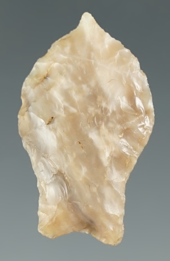 1 1/4" Paleo Spedis made from gray and white Agate. Found near the Columbia River, Oregon.