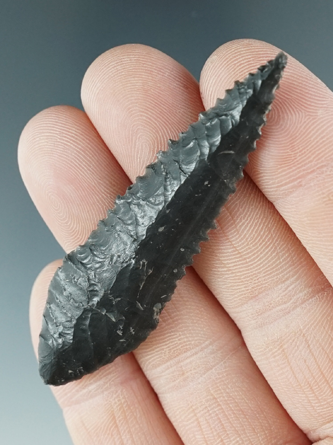 2 5/8" Cascade made from Obsidian with heavy serrations. Found in Klamath Falls, Oregon. Pictured.