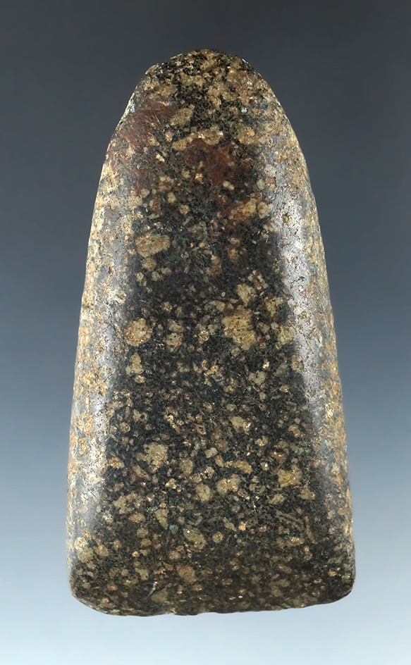 Highly polished 3" Miniature Hardstone Celt in excellent condition.