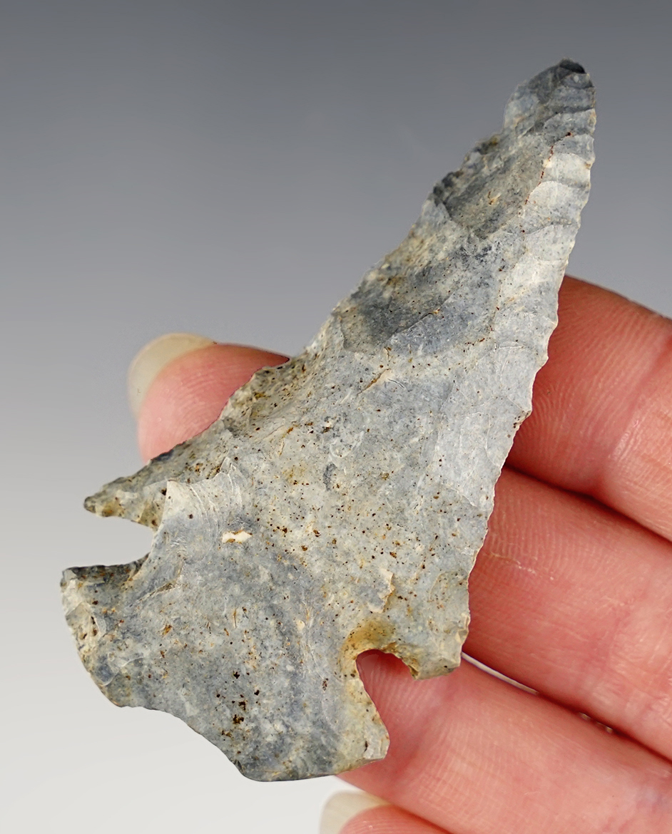 2 11/16" classic style Notch Base Dovetail that is steeply beveled. Found in Tuscarawas Co., Ohio.