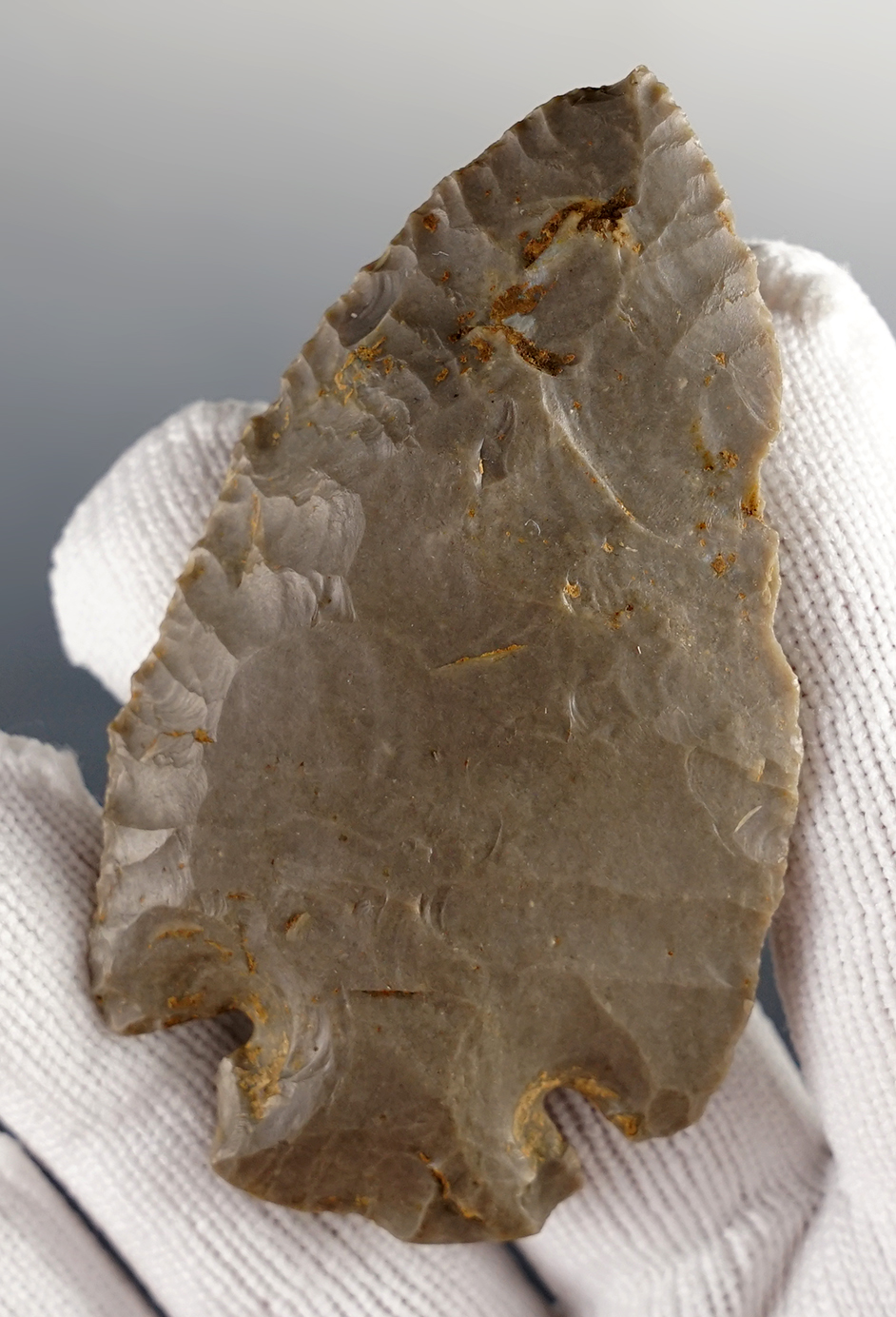 Classic 2 3/4" Dovetail made from Hornstone. Found in Darke Co., Ohio. 