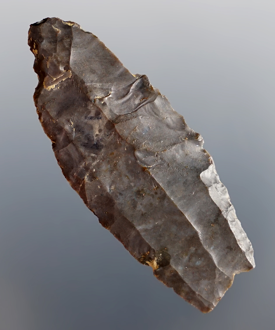 Rare 2 1/8" Fluted Paleo Crowfield found in Ohio. Made from Coshocton Flint.