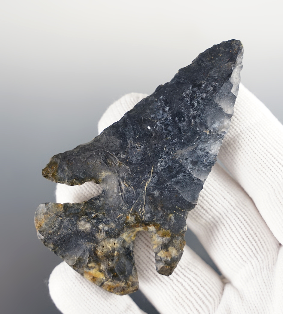 3 1/16" Archaic "Dog Leg" Thebes Bevel found in Morrow Co., Ohio.Coshocton Flint. Bennett COA.