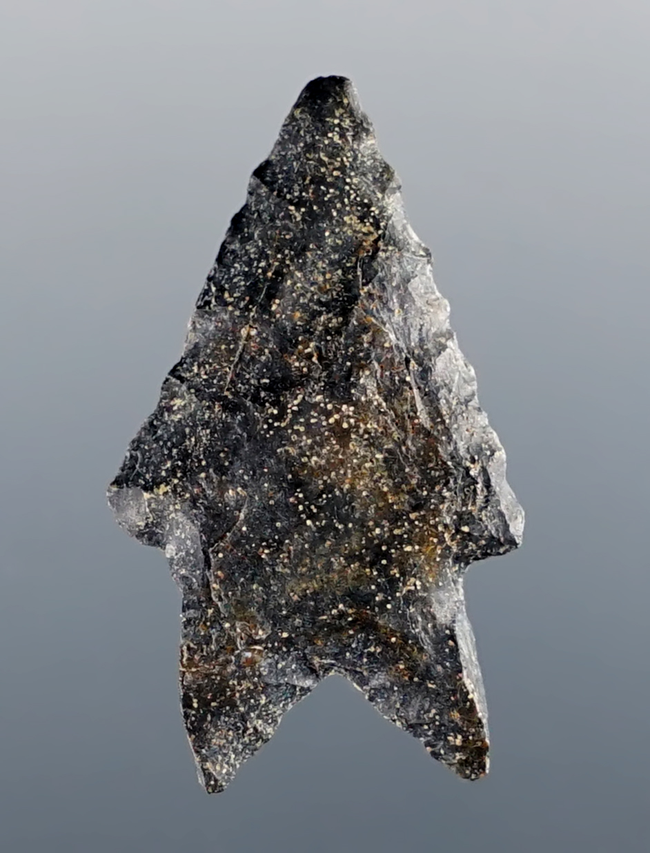 1" Coshocton Flint Lake Erie Bifurcate with rare burin-flaked basal lobes. Found in Ohio.