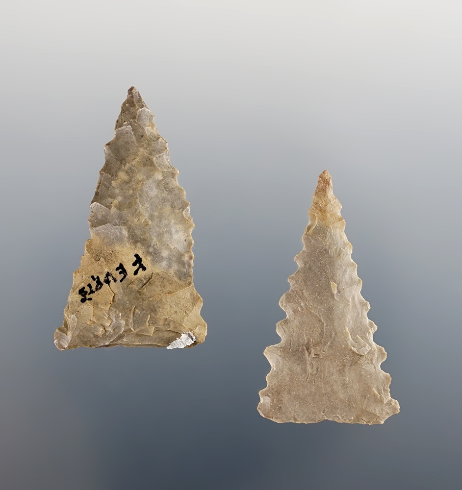 Pair of serrated Triangle points found at Feurt Village Site in Clay Twp., Scioto Co., Ohio. 